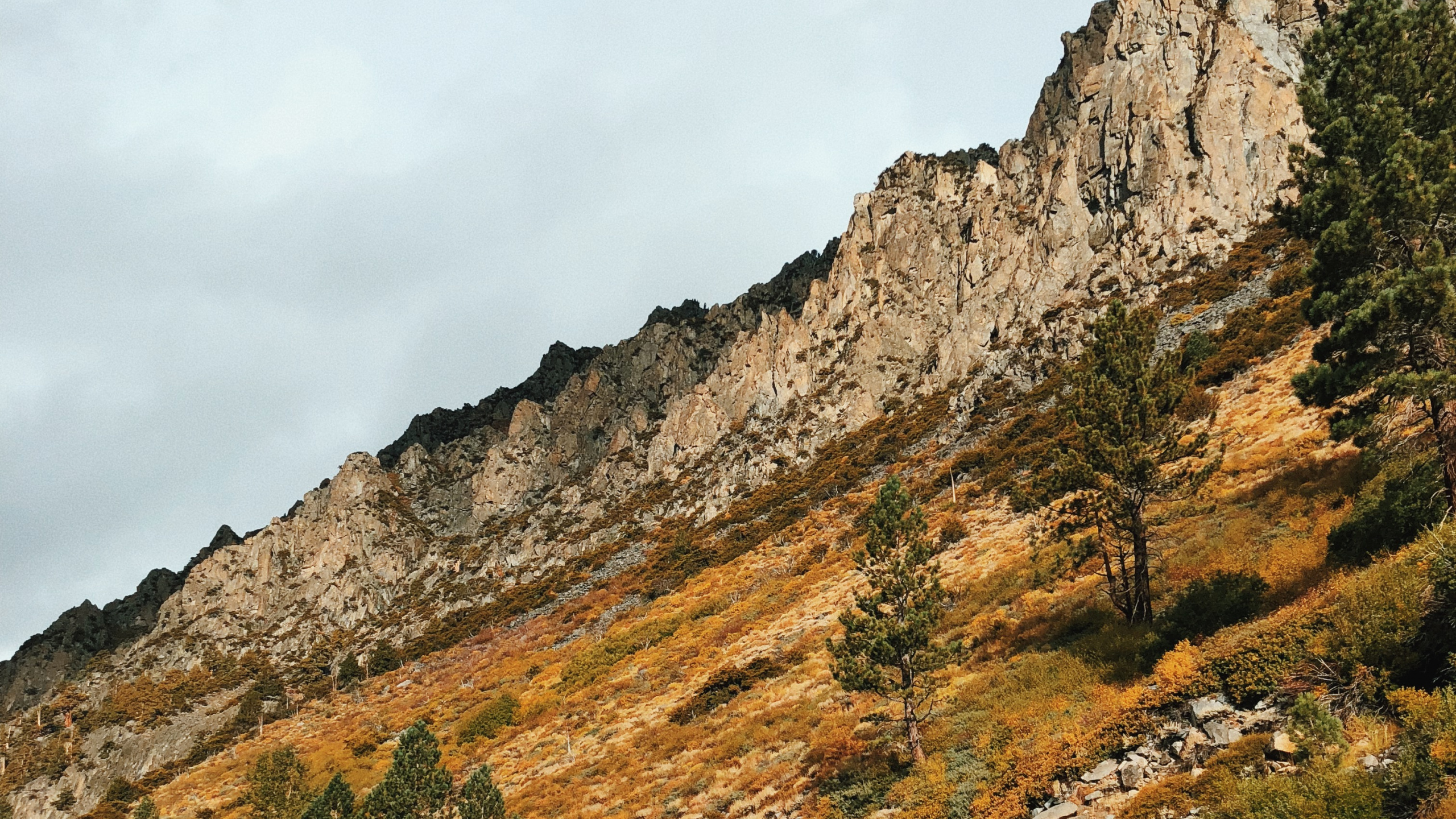 Обои дорога, горный рельеф, нагорье, дорожное покрытие, склон в разрешении 2560x1440