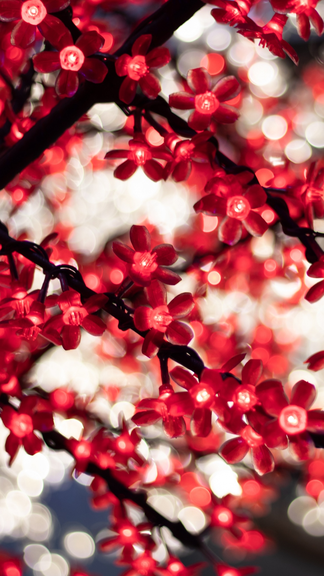 Обои красный цвет, весна, расцвет, дерево, цветок в разрешении 1080x1920