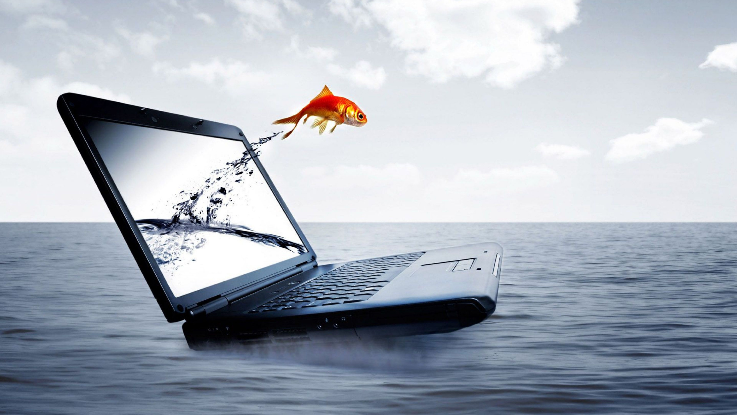 Обои море, отпуск, досуг, ветер, карманные компьютеры в разрешении 2560x1440