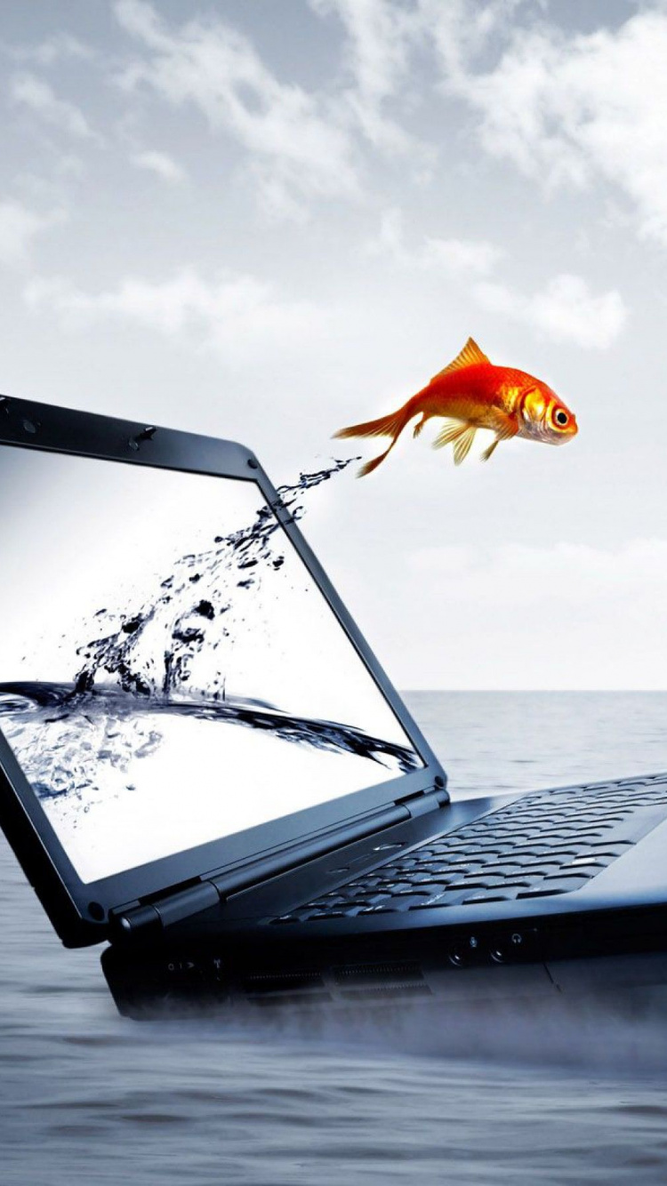 Обои море, отпуск, досуг, ветер, карманные компьютеры в разрешении 750x1334