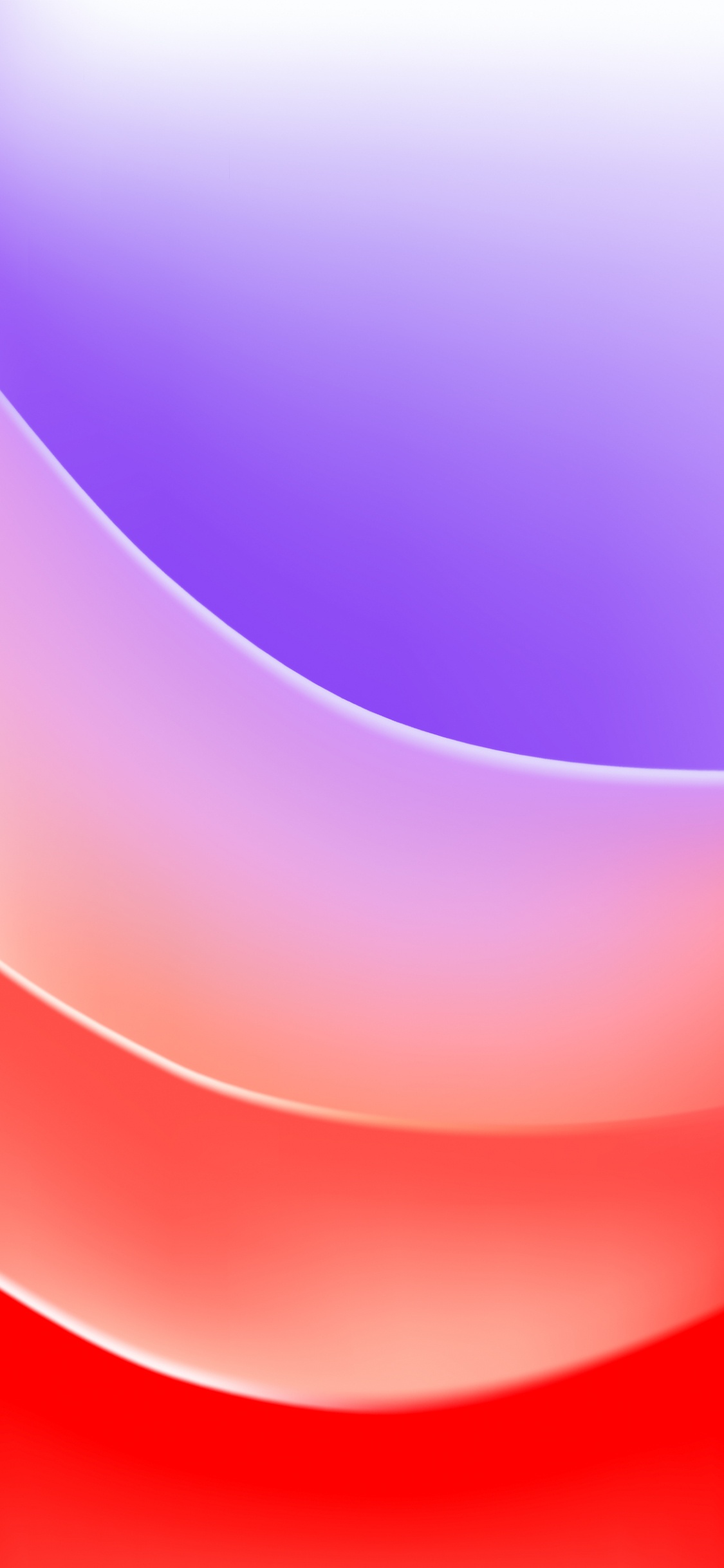 Обои сирень, динамический остров, датский дог, поэзия, имя в разрешении 1125x2436