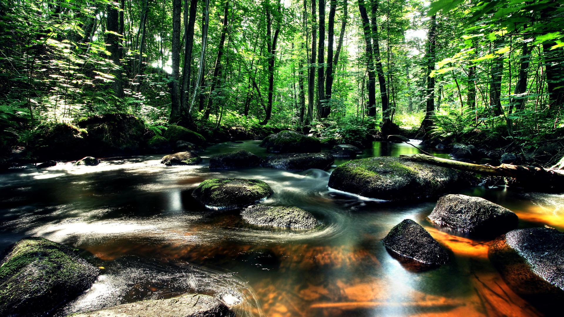 Обои природа, водоем, поток, лес, водоток в разрешении 1920x1080