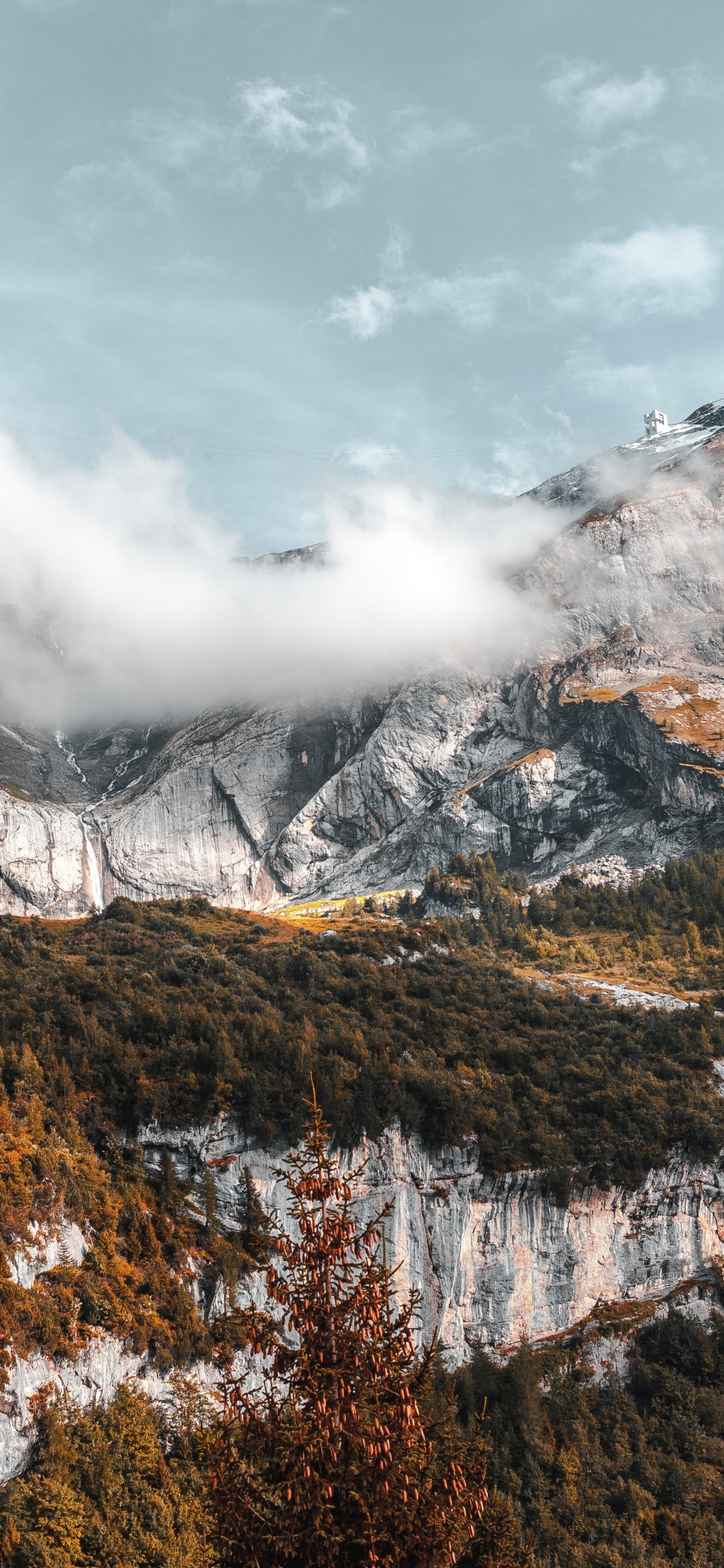 Обои йосемитский национальный парк, национальный парк, гора, облако, экорегион в разрешении 1125x2436
