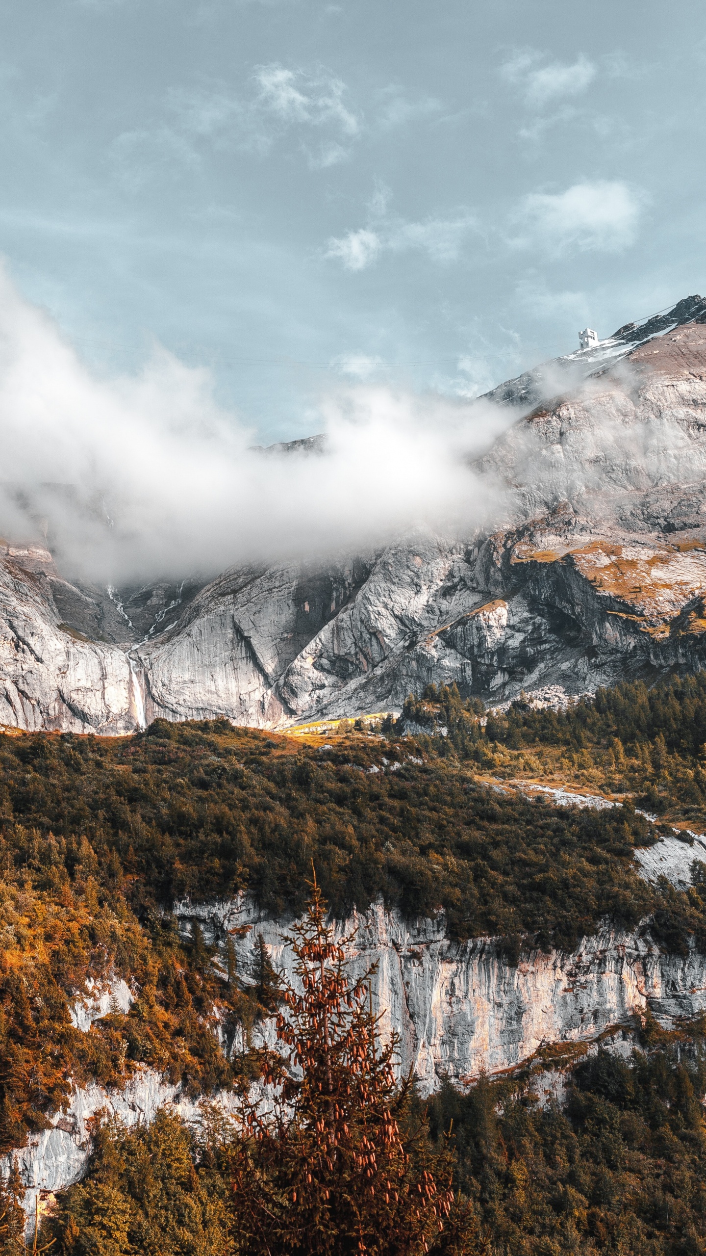Обои йосемитский национальный парк, национальный парк, гора, облако, экорегион в разрешении 1440x2560