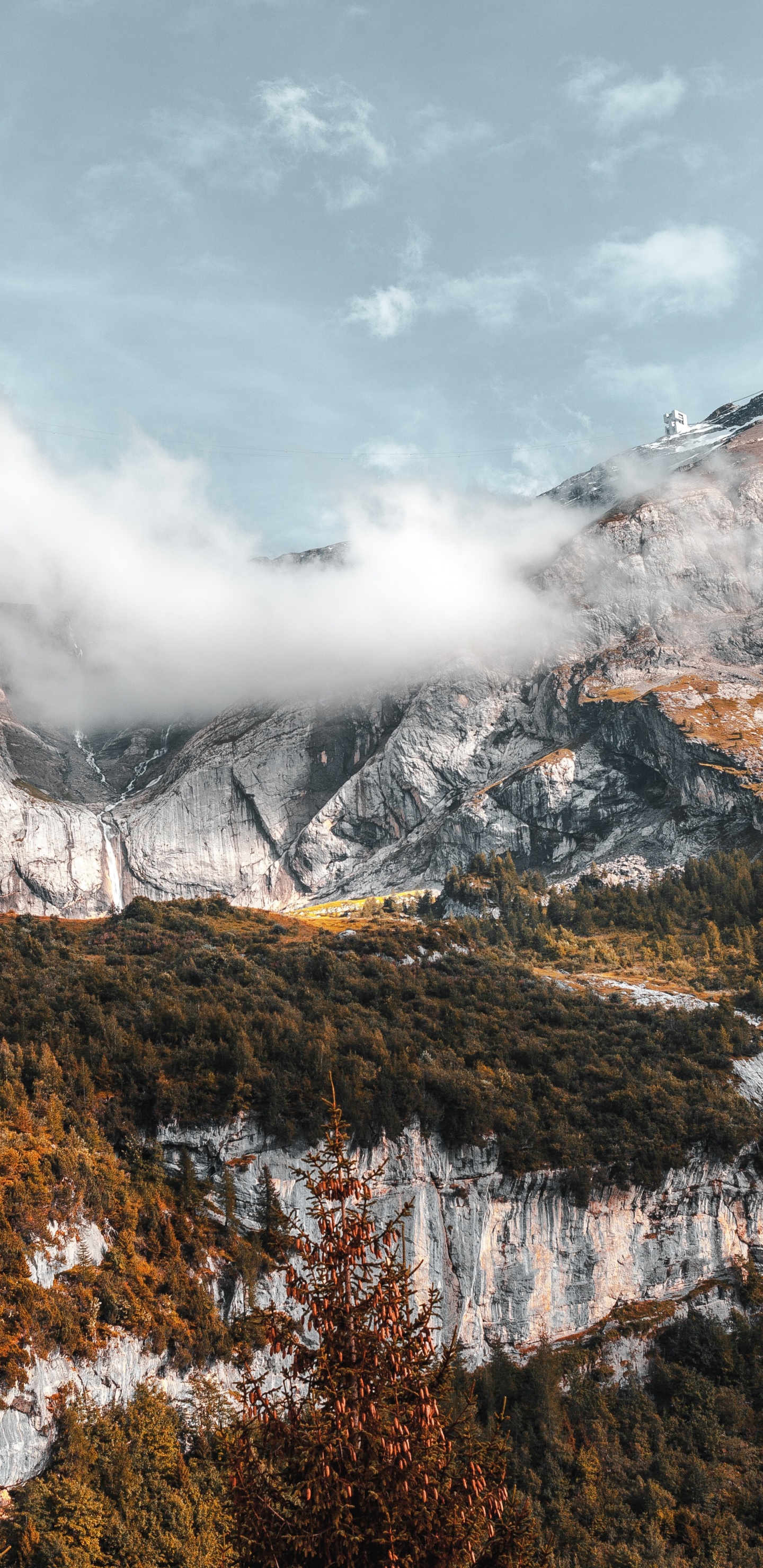 Обои йосемитский национальный парк, национальный парк, гора, облако, экорегион в разрешении 1440x2960