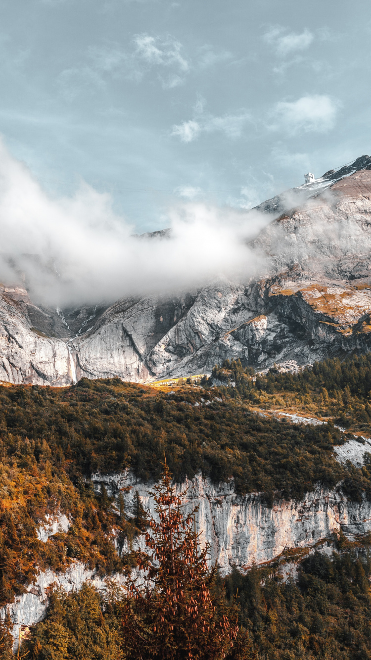 Обои йосемитский национальный парк, национальный парк, гора, облако, экорегион в разрешении 750x1334
