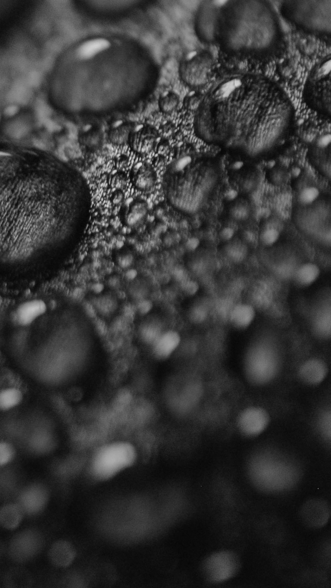 Обои черный и белый, роса, падение, вода, черно-белая фотография в разрешении 1080x1920