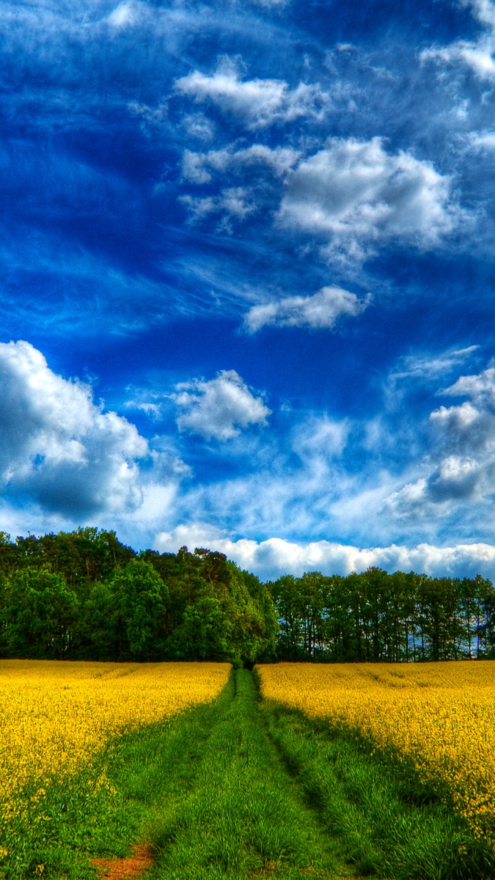 Обои красочный пейзаж, пейзаж, пейзажная живопись, поле, природа в разрешении 720x1280