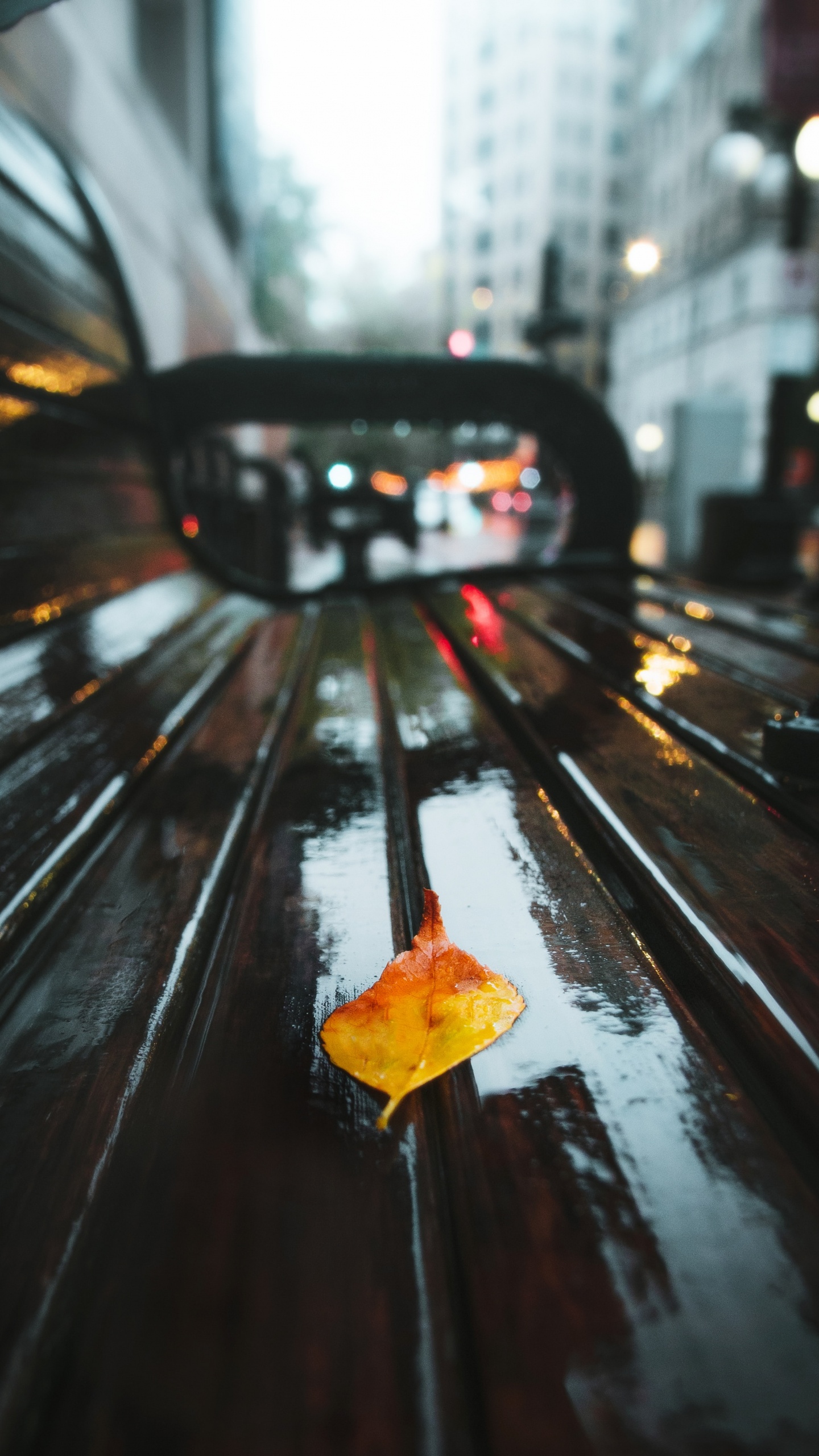 Обои транспорт, желтый, свет, ночь, Апельсин в разрешении 1440x2560