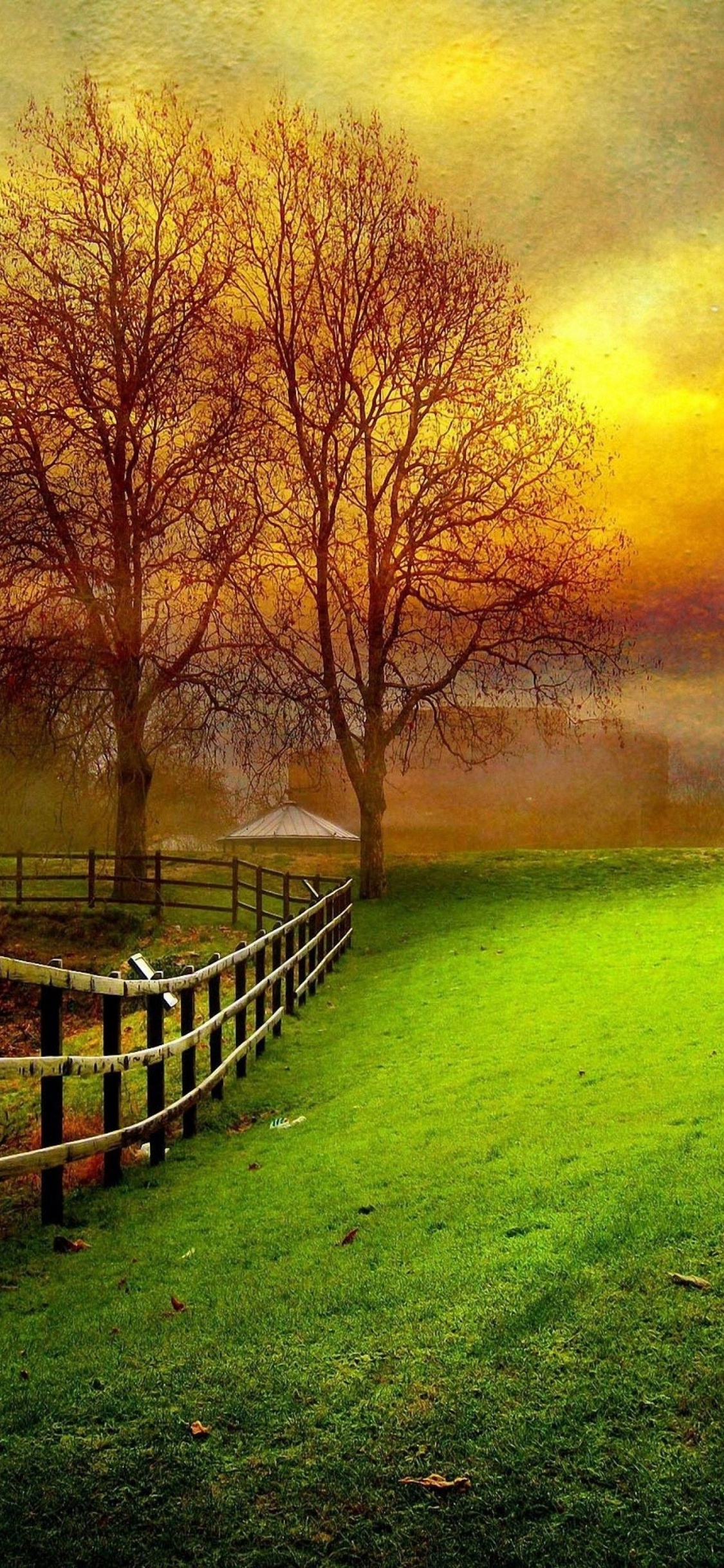 Обои природный ландшафт, природа, зеленый, дерево, утро в разрешении 1125x2436