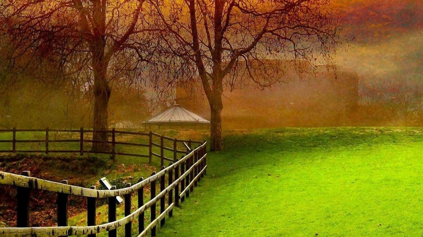 Обои природный ландшафт, природа, зеленый, дерево, утро в разрешении 1366x768