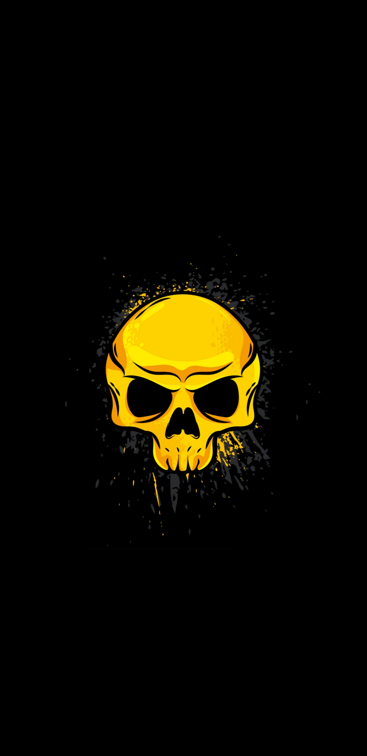 Обои череп, кость, арт, очки, головной убор в разрешении 1440x2960