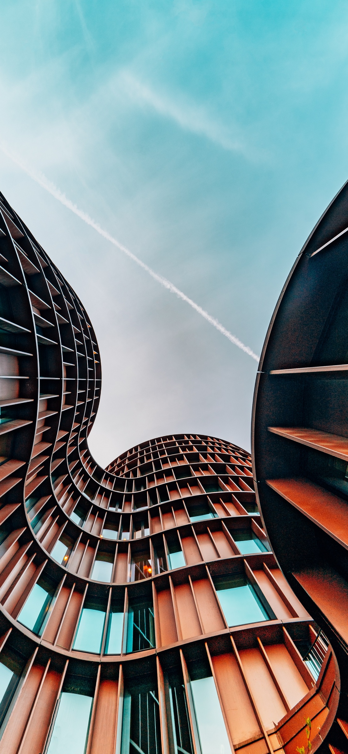 Обои Бургер Кинг, пермира советники, пермира, бизнес, промышленность в разрешении 1125x2436