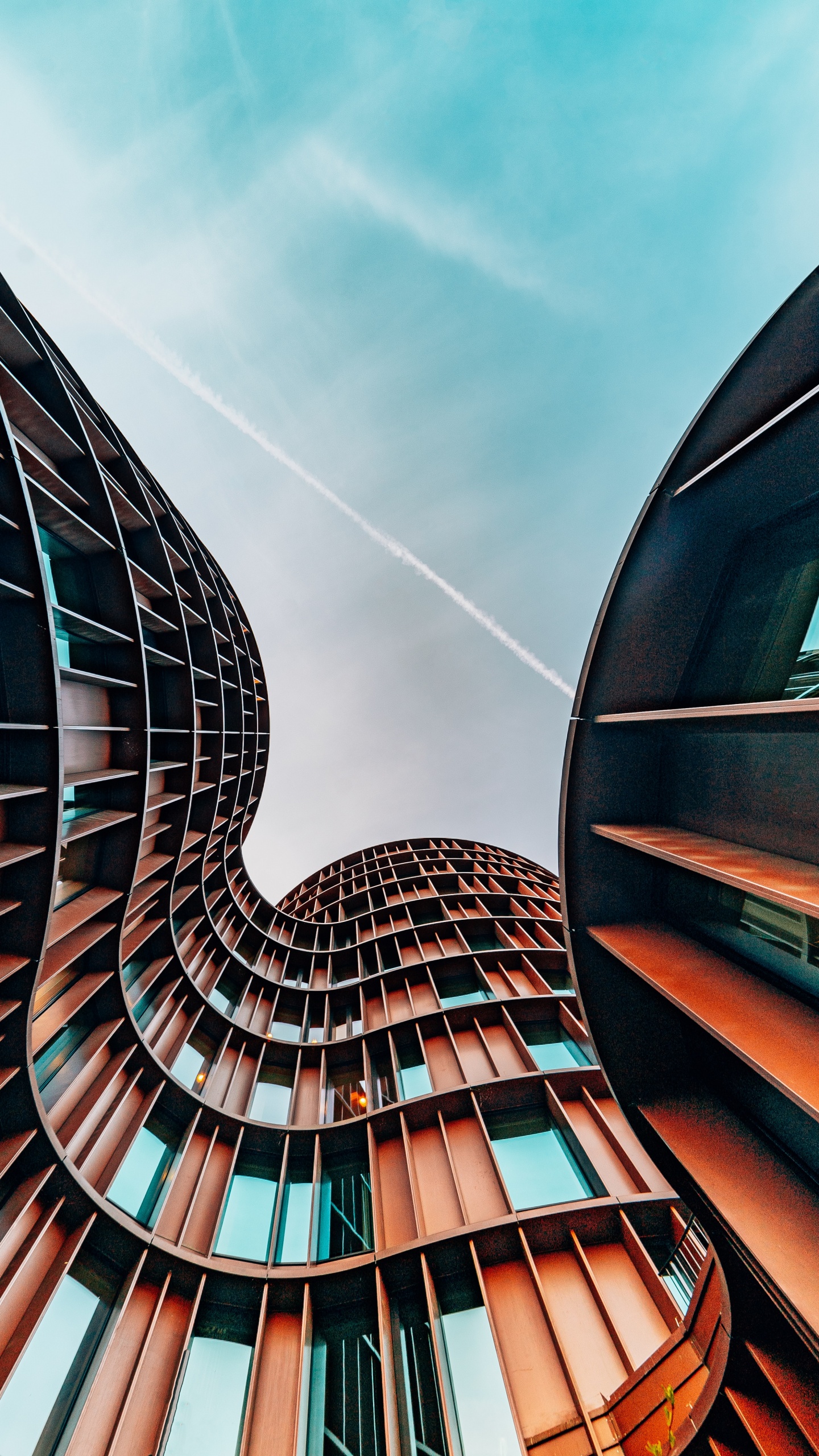 Обои Бургер Кинг, пермира советники, пермира, бизнес, промышленность в разрешении 1440x2560