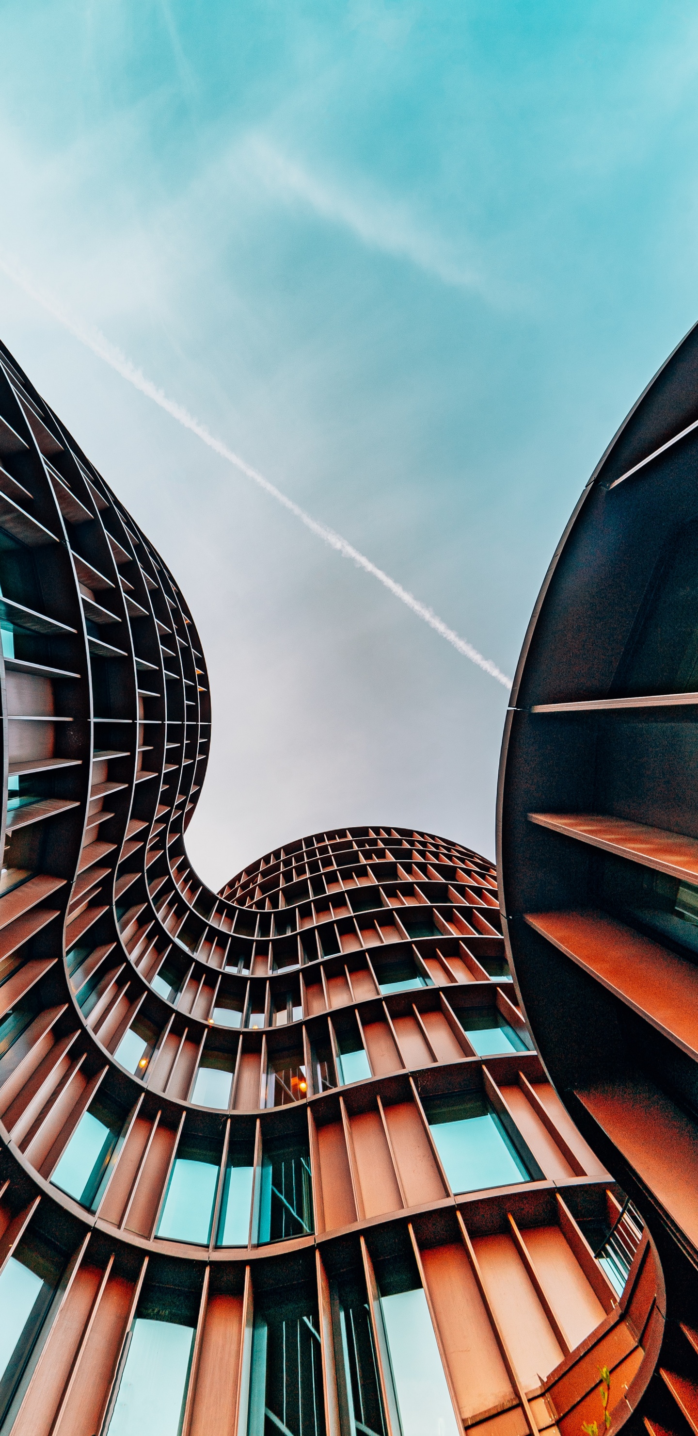 Обои Бургер Кинг, пермира советники, пермира, бизнес, промышленность в разрешении 1440x2960