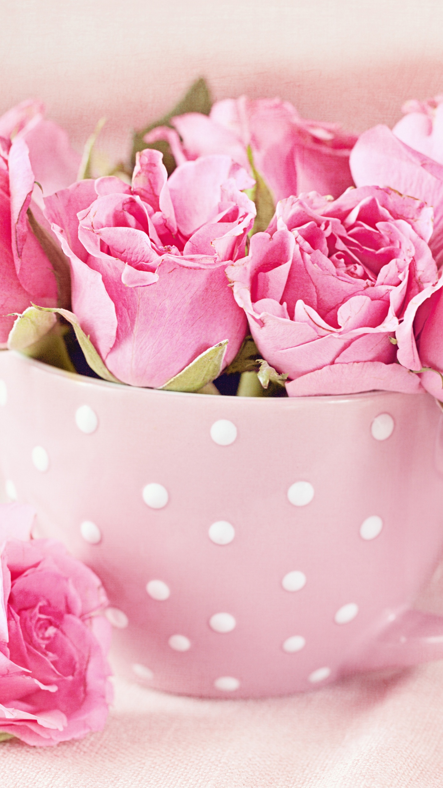 Обои розовый, букет, растение, розовые цветы, белые в разрешении 1440x2560