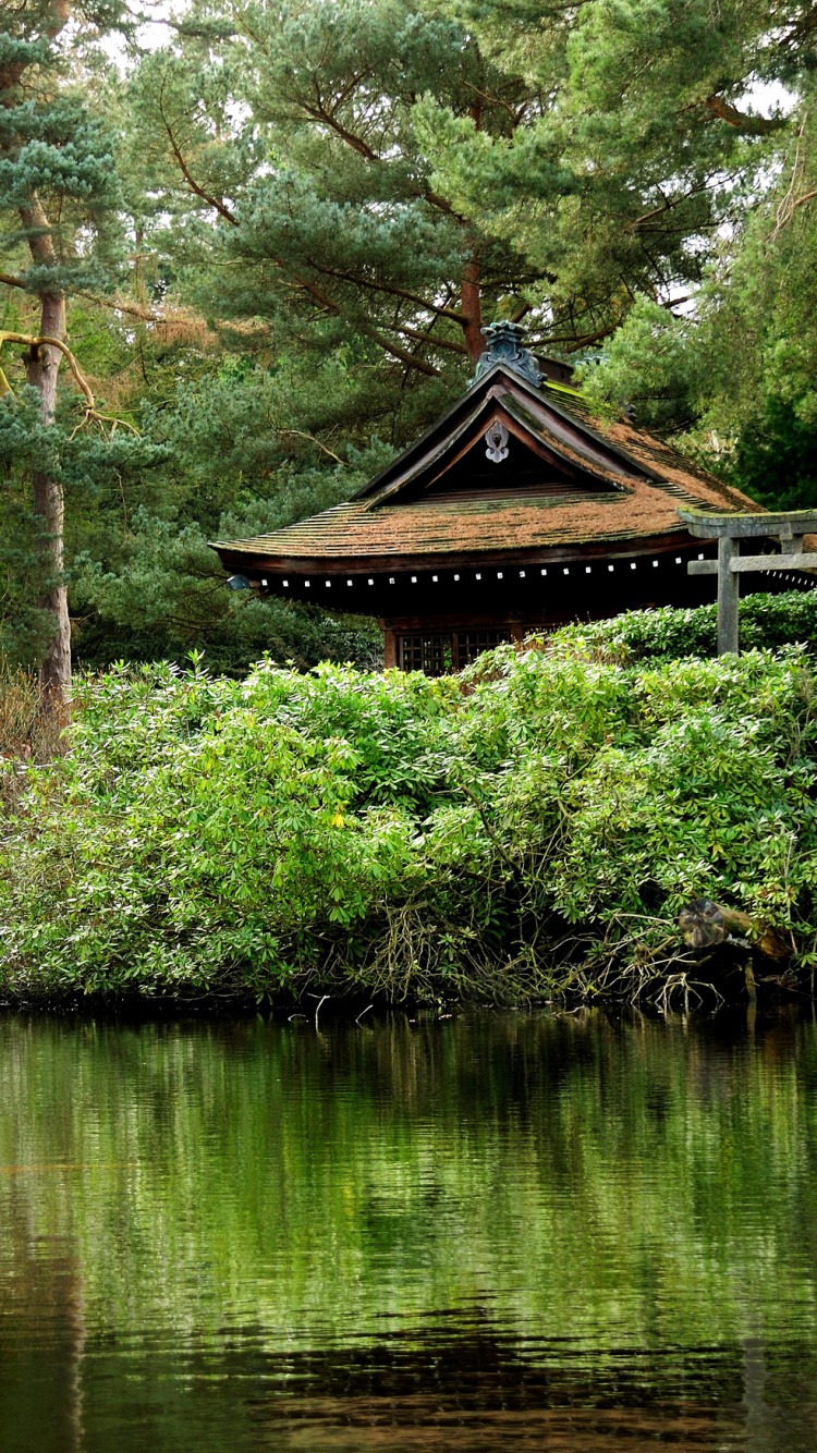 Обои релаксация, природа, растительность, природный заповедник, дерево в разрешении 750x1334