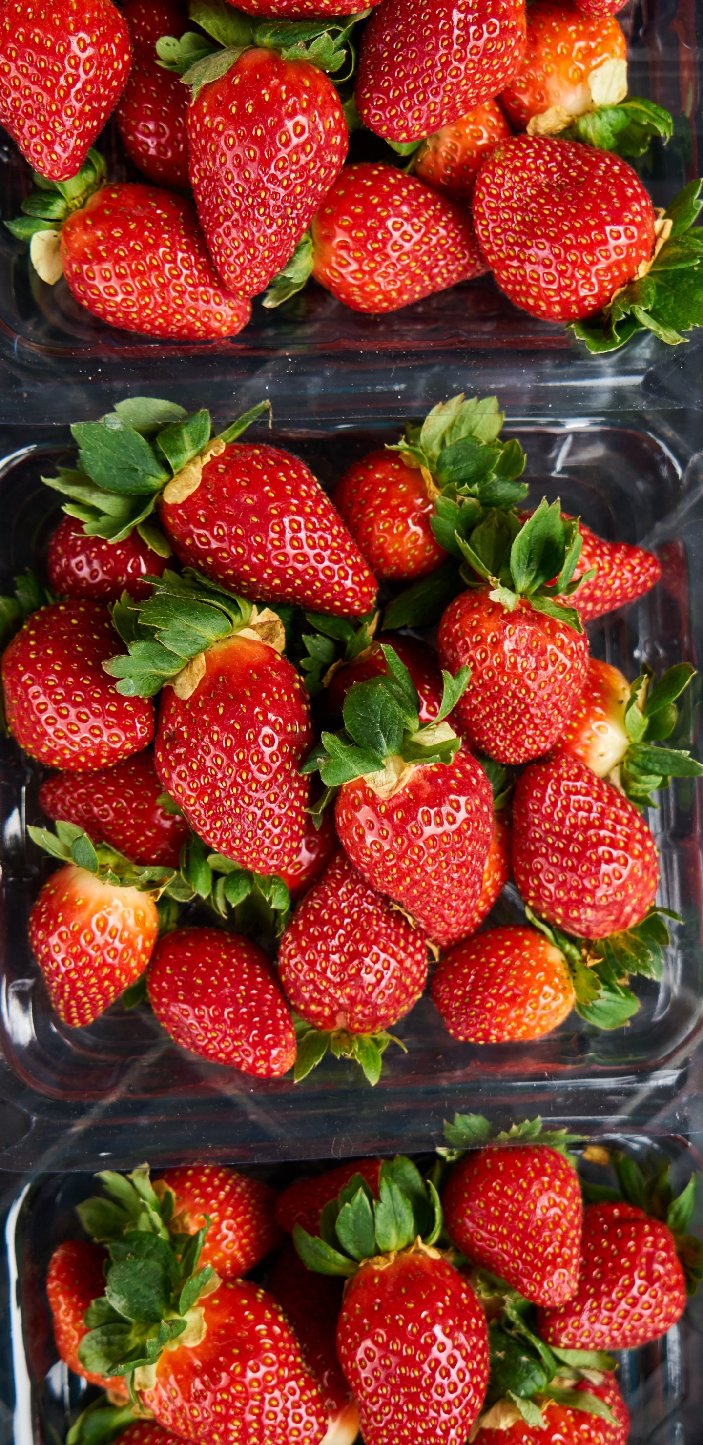 Обои клубника, ягоды, фрукты, природные продукты, пища в разрешении 1440x2960