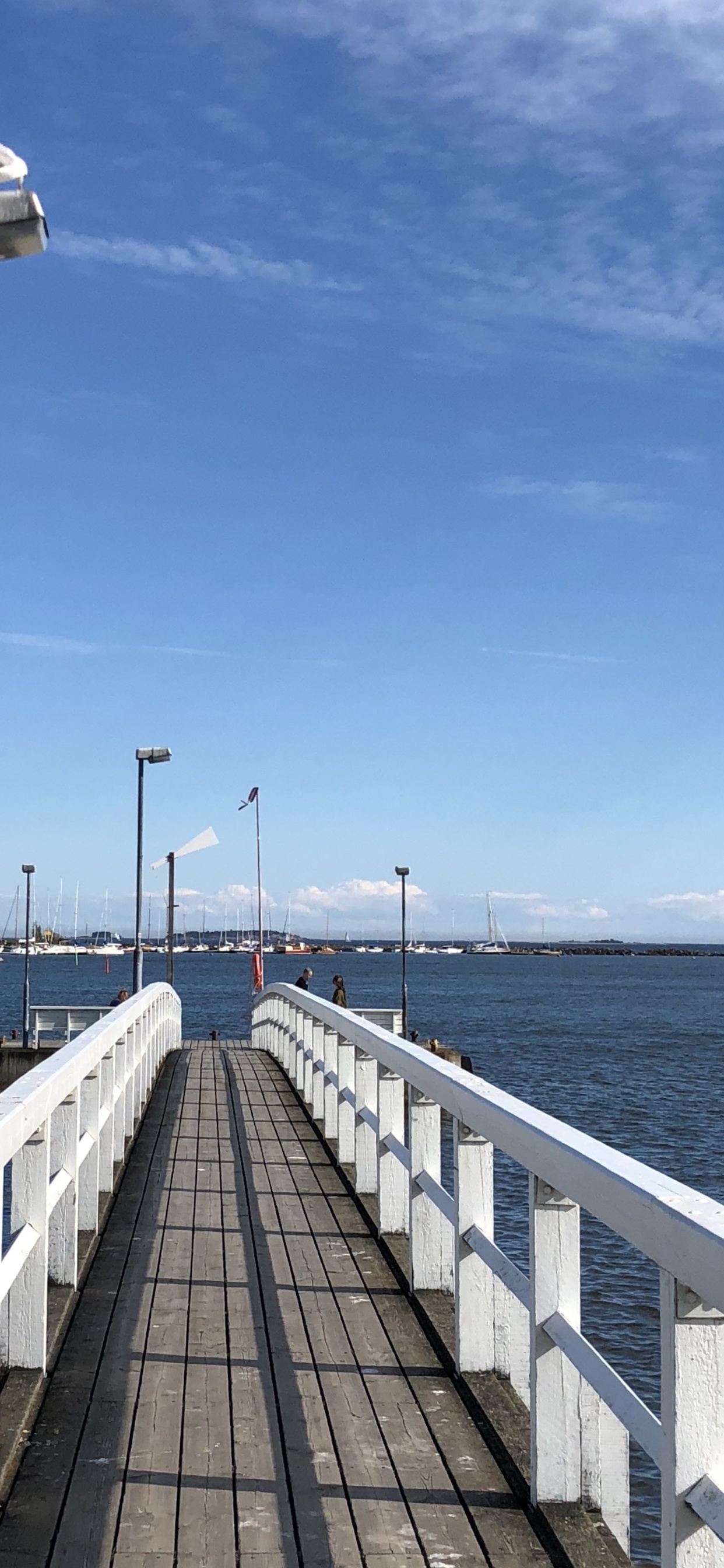 Обои море, вода, уличный фонарь, водный путь, горизонт в разрешении 1242x2688