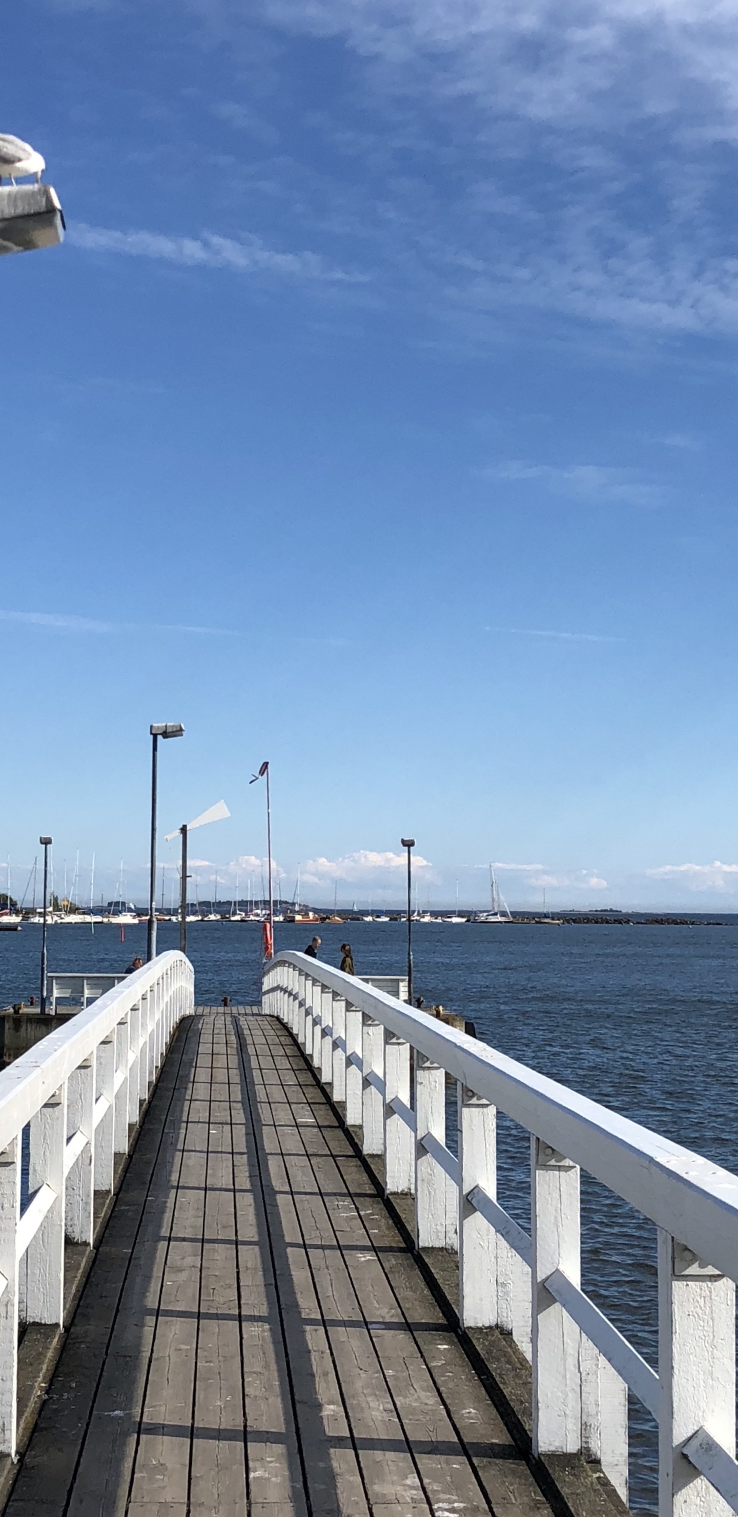 Обои море, вода, уличный фонарь, водный путь, горизонт в разрешении 1440x2960