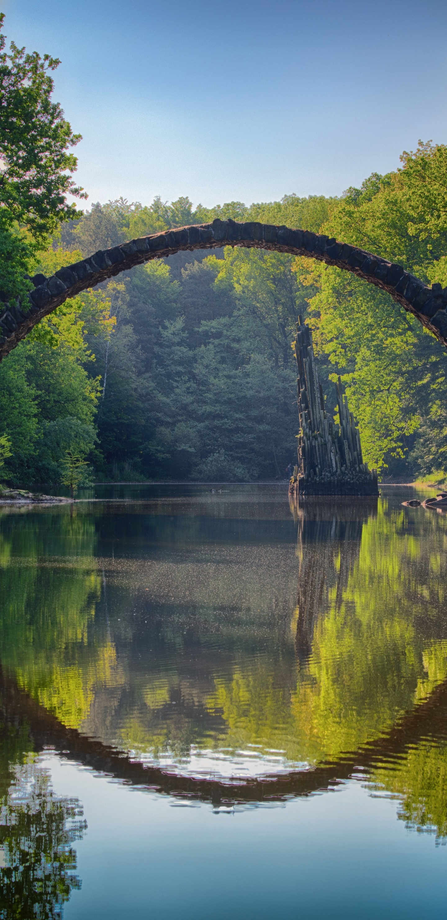 Обои Kromlau, мост, вода, растение, гидроресурсы в разрешении 1440x2960