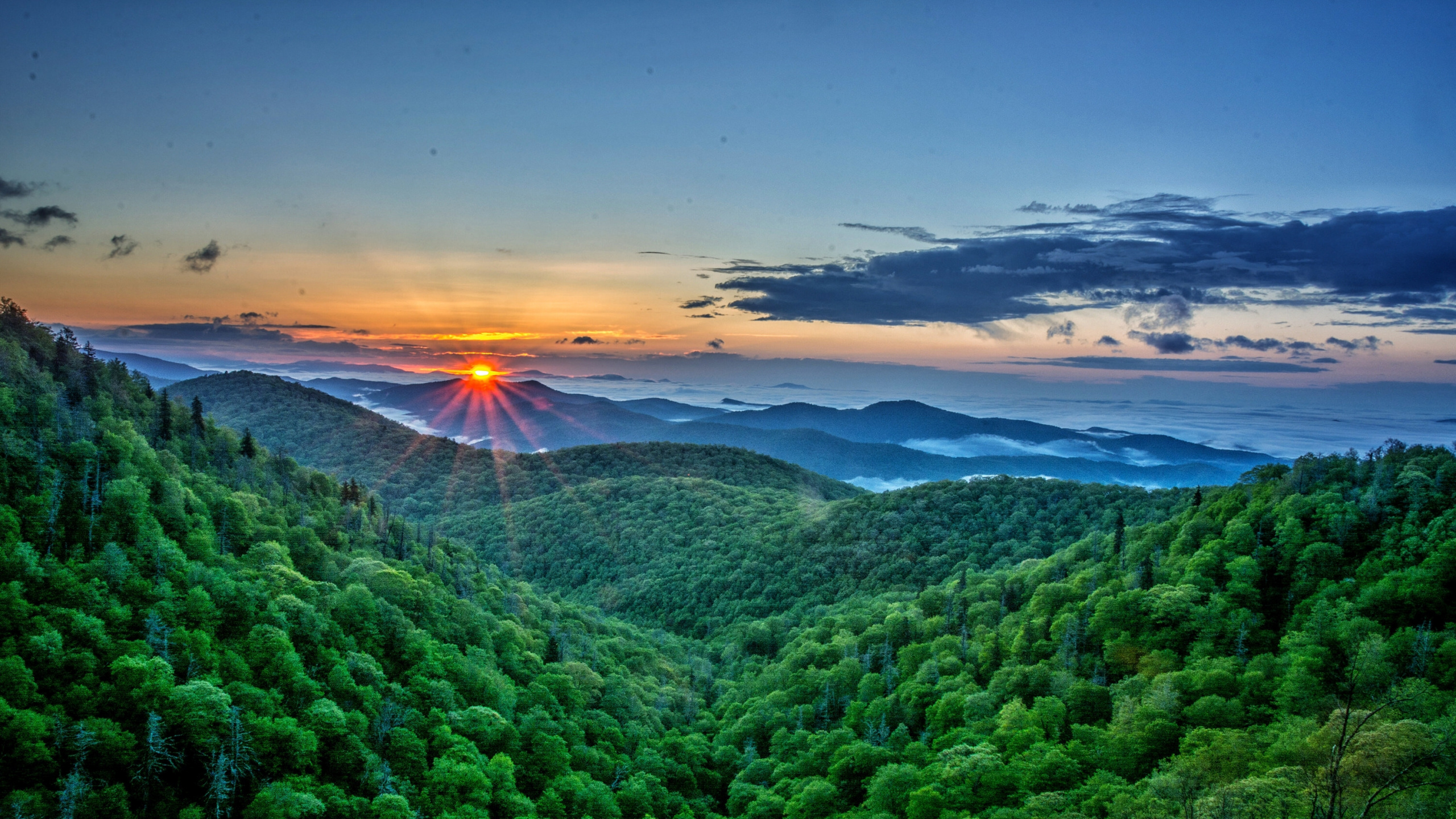 Обои восход солнца, закат, природа, растительность, горная станция в разрешении 2560x1440