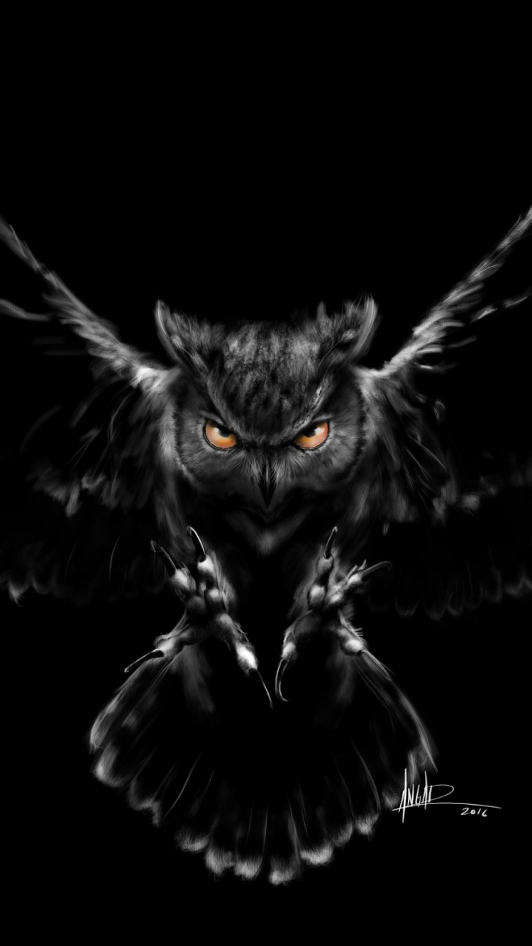 Обои темная сова, Филин, Сыч, чернополосая сова, большая черная сова в разрешении 750x1334