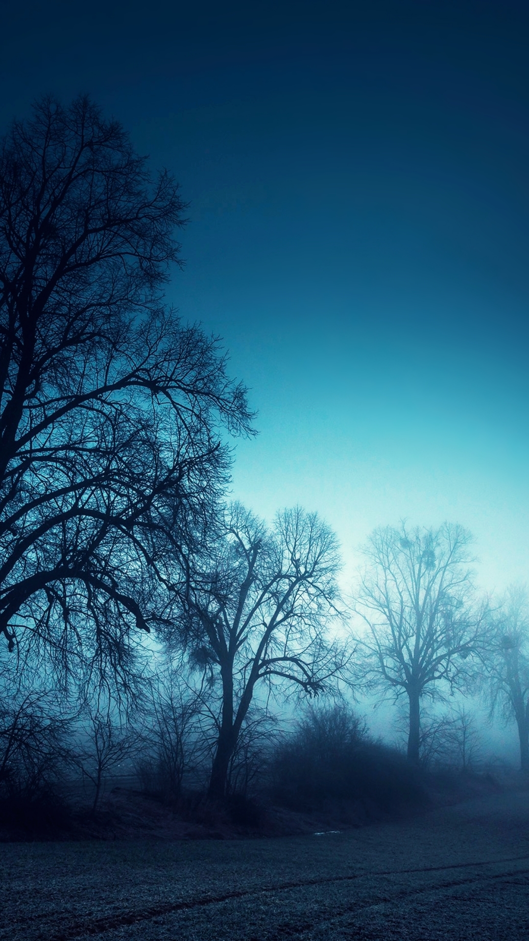 Обои Elephone,  Elephone P8, природа, ветвь, синий в разрешении 1080x1920