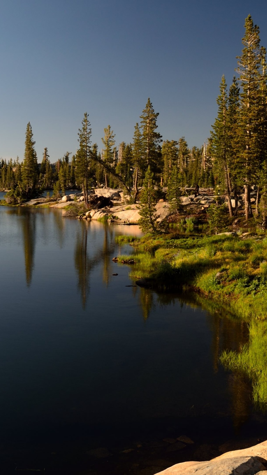 Обои озеро, природа, дерево, отражение, водоем в разрешении 1080x1920