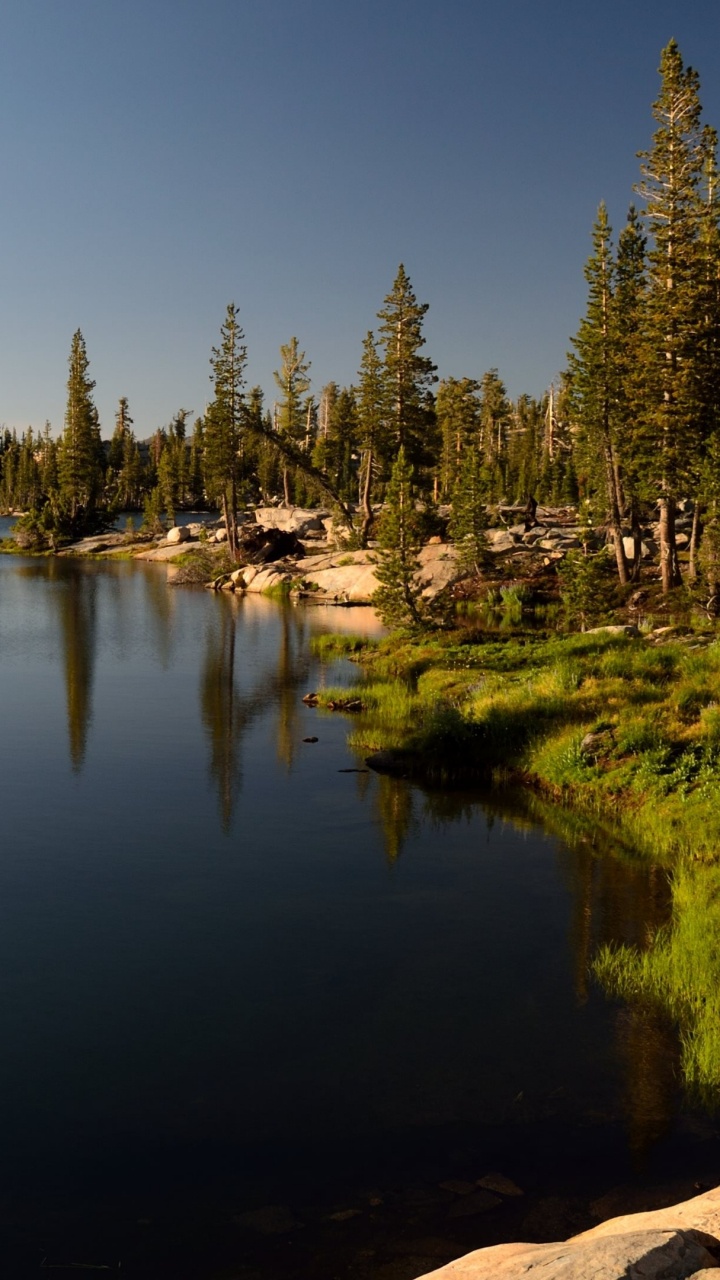 Обои озеро, природа, дерево, отражение, водоем в разрешении 720x1280