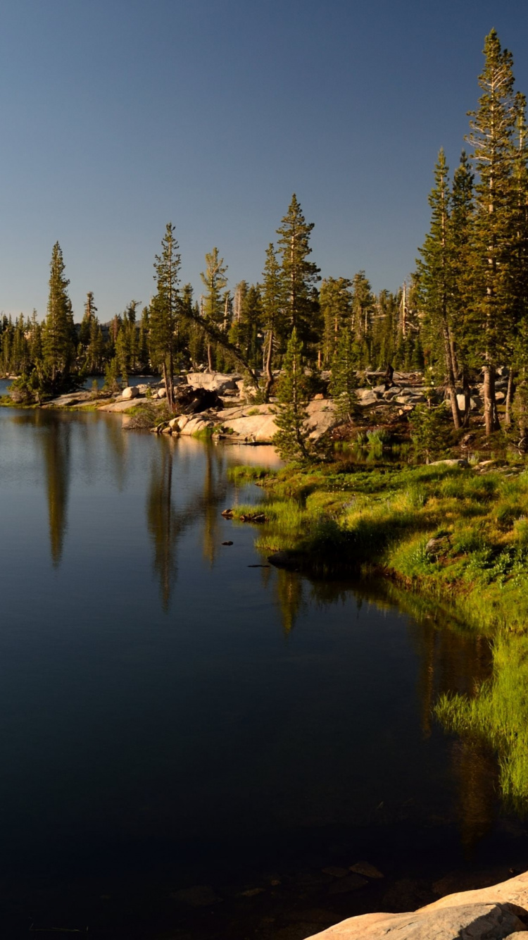 Обои озеро, природа, дерево, отражение, водоем в разрешении 750x1334