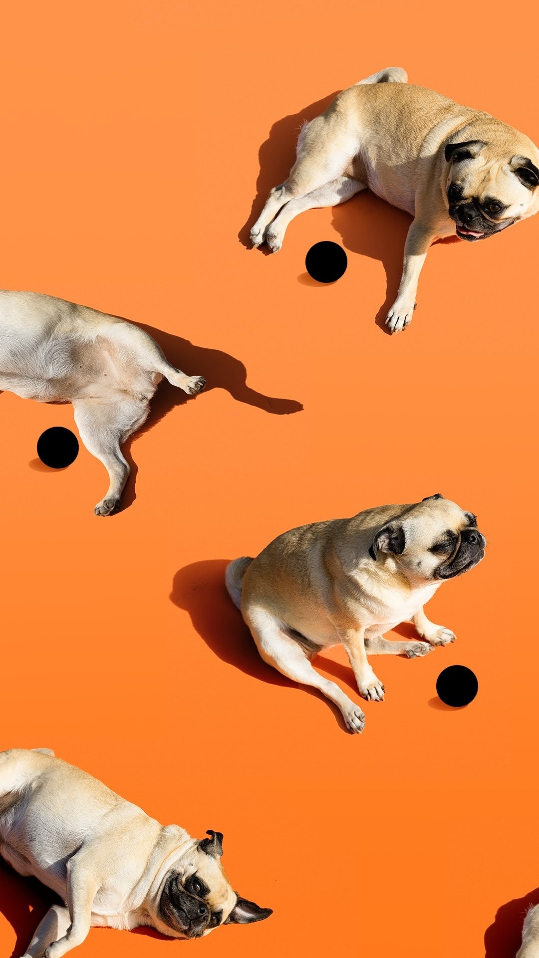 Обои Google, Google Pixel 4a, пиксель 4a, смартфон, пиксель в разрешении 1080x1920