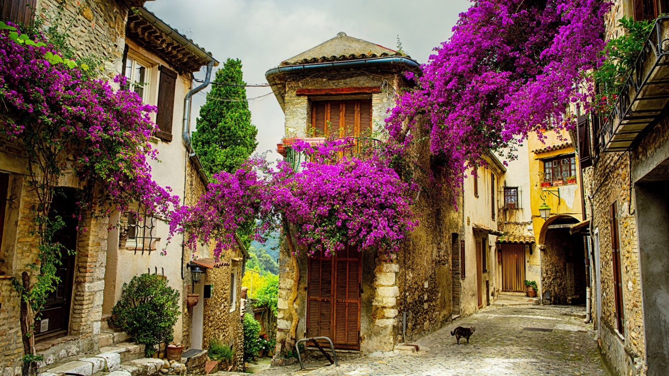 Обои городок, цветок, улица, Хаус, средневековая архитектура в разрешении 1366x768