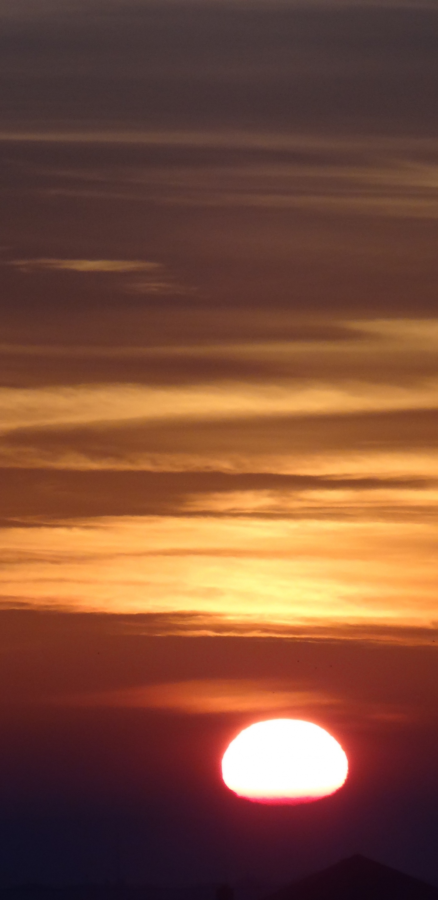 Обои восход солнца, закат, рассвет, дневное время, послесвечение в разрешении 1440x2960