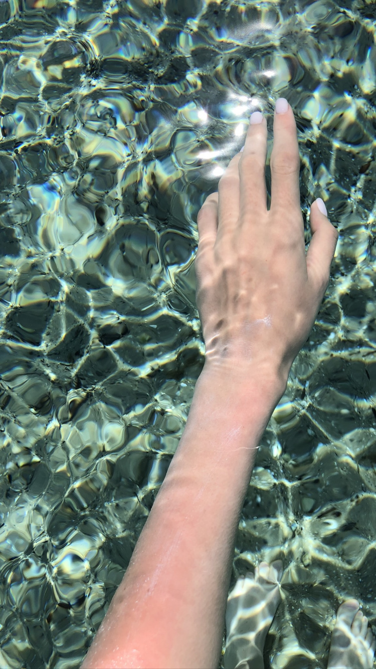 Обои вода, лист, рассада, биология, жидкость в разрешении 750x1334