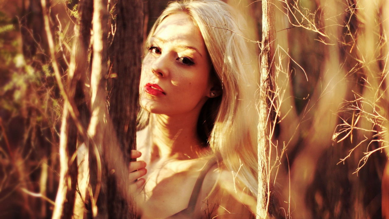 Обои красота, блондин, волосы, солнечный свет, длинные волосы в разрешении 1280x720