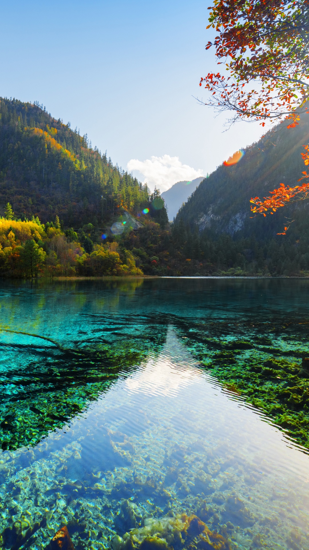 Обои природа, отражение, вода, дикая местность, озеро в разрешении 1080x1920