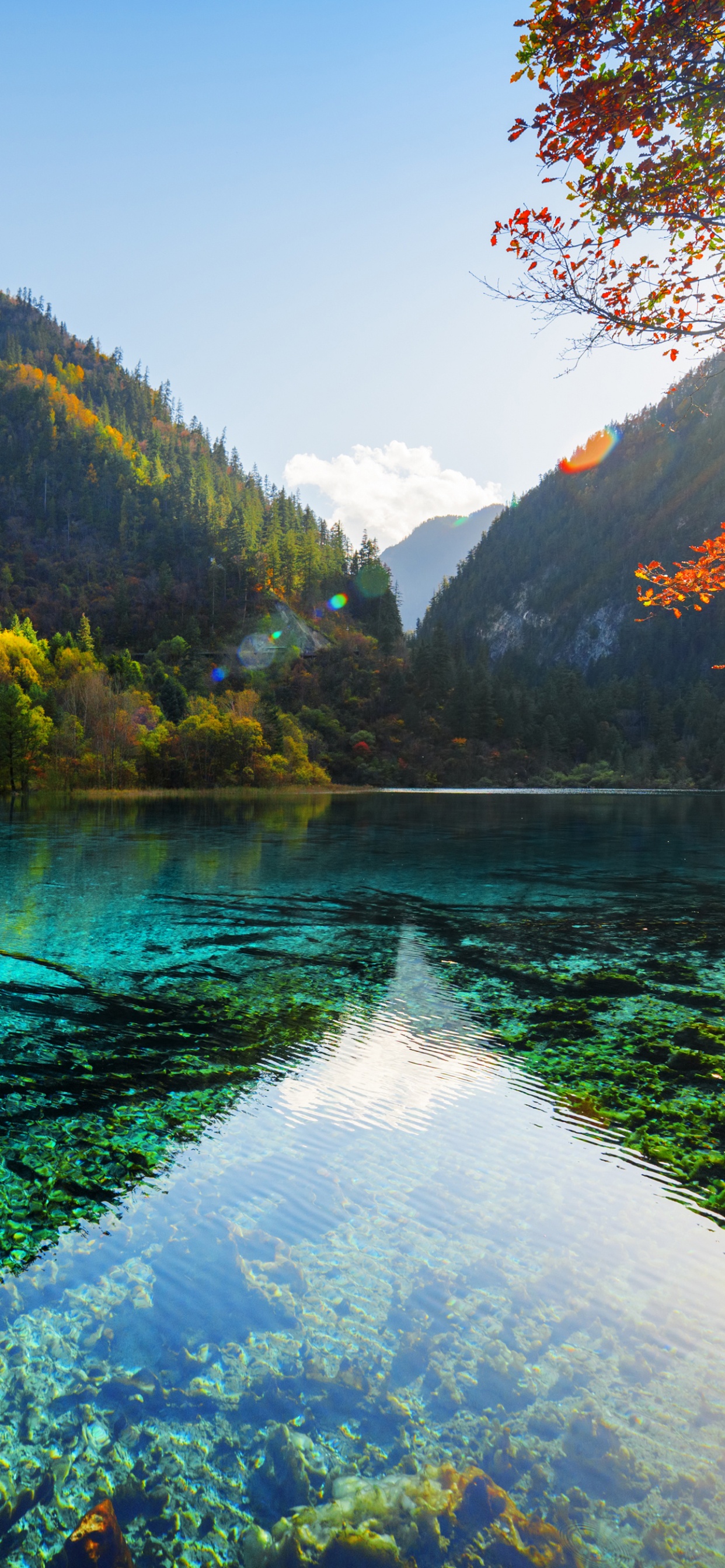 Обои природа, отражение, вода, дикая местность, озеро в разрешении 1242x2688