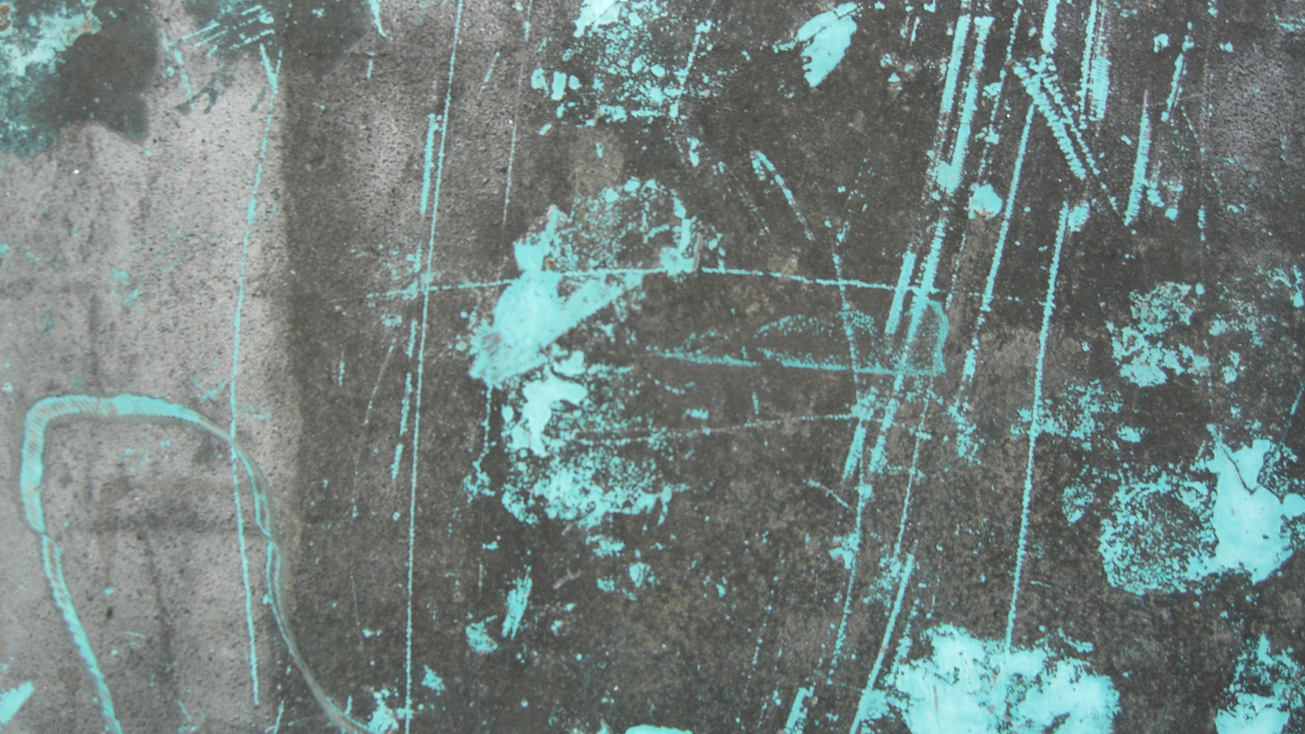 Обои зеленый, стена, узор, ветвление, арт в разрешении 2560x1440