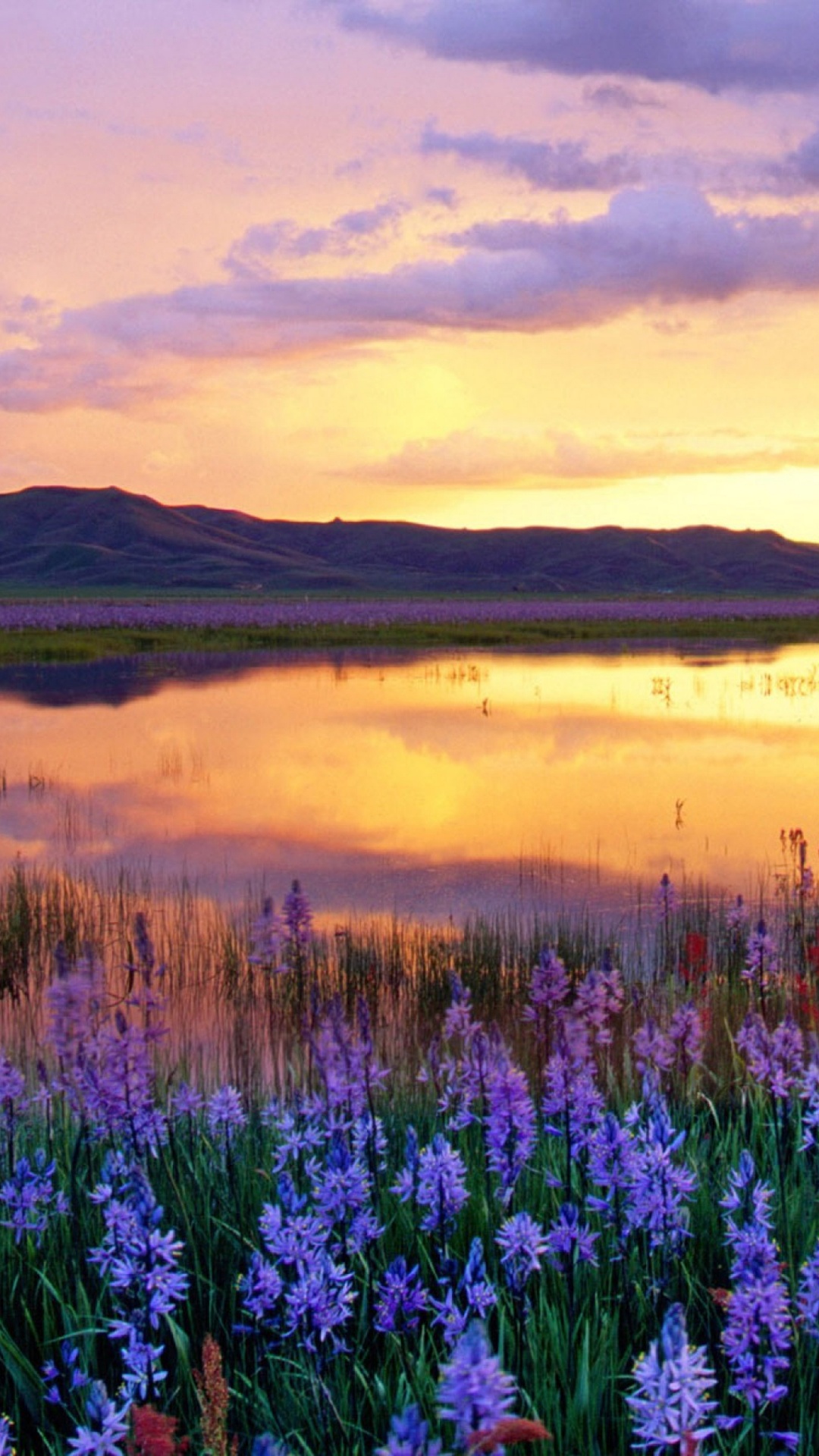 Обои отражение, дикая местность, сенокосное угодье, рассвет, луг в разрешении 1080x1920