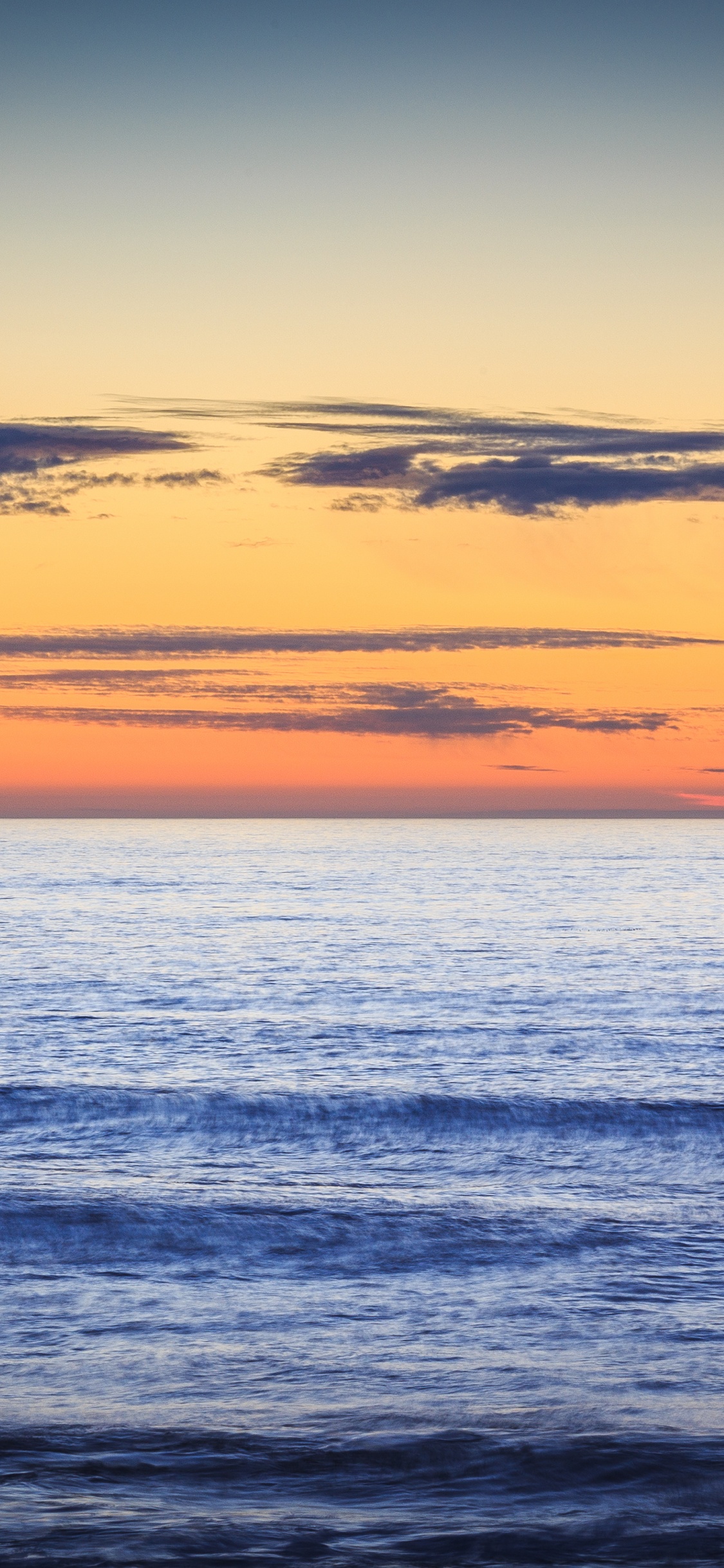 Обои послесвечение, посольство аргентины пекин, консул, консульство, китайское посольство в разрешении 1125x2436