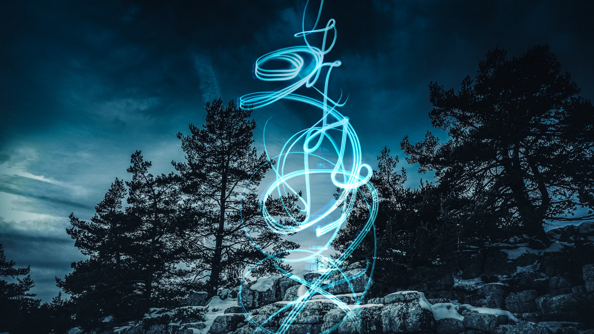 Обои ночь, синий, дерево, свет, темнота в разрешении 1920x1080