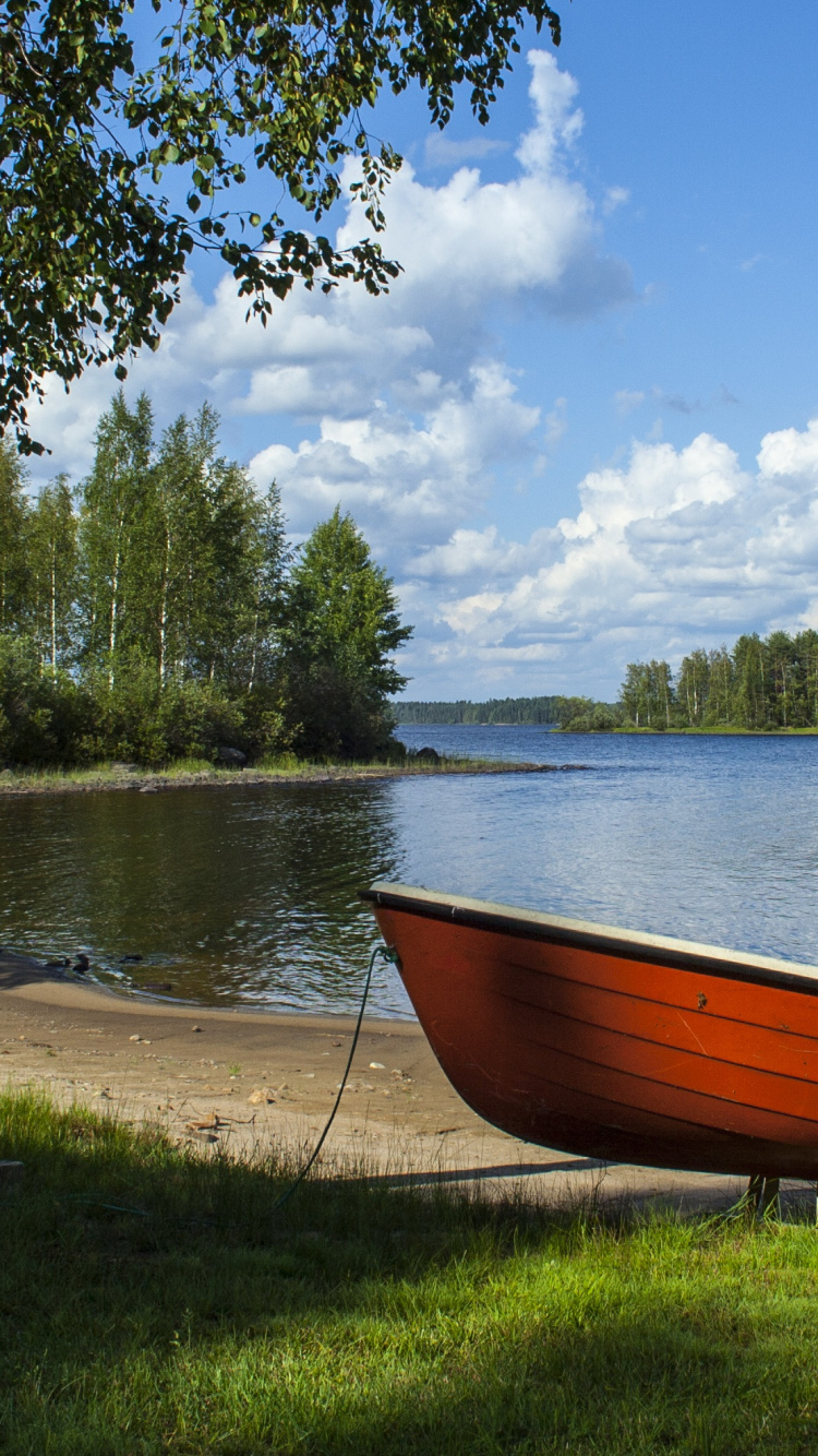 Обои озеро, береза, лодка, природа, дерево в разрешении 750x1334