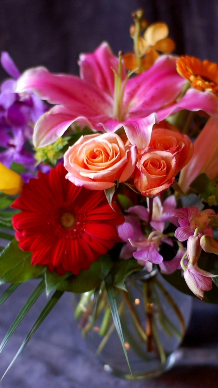 Обои трансвааль Дейзи, Роза, цветочный дизайн, цветочный букет, орхидея в разрешении 720x1280