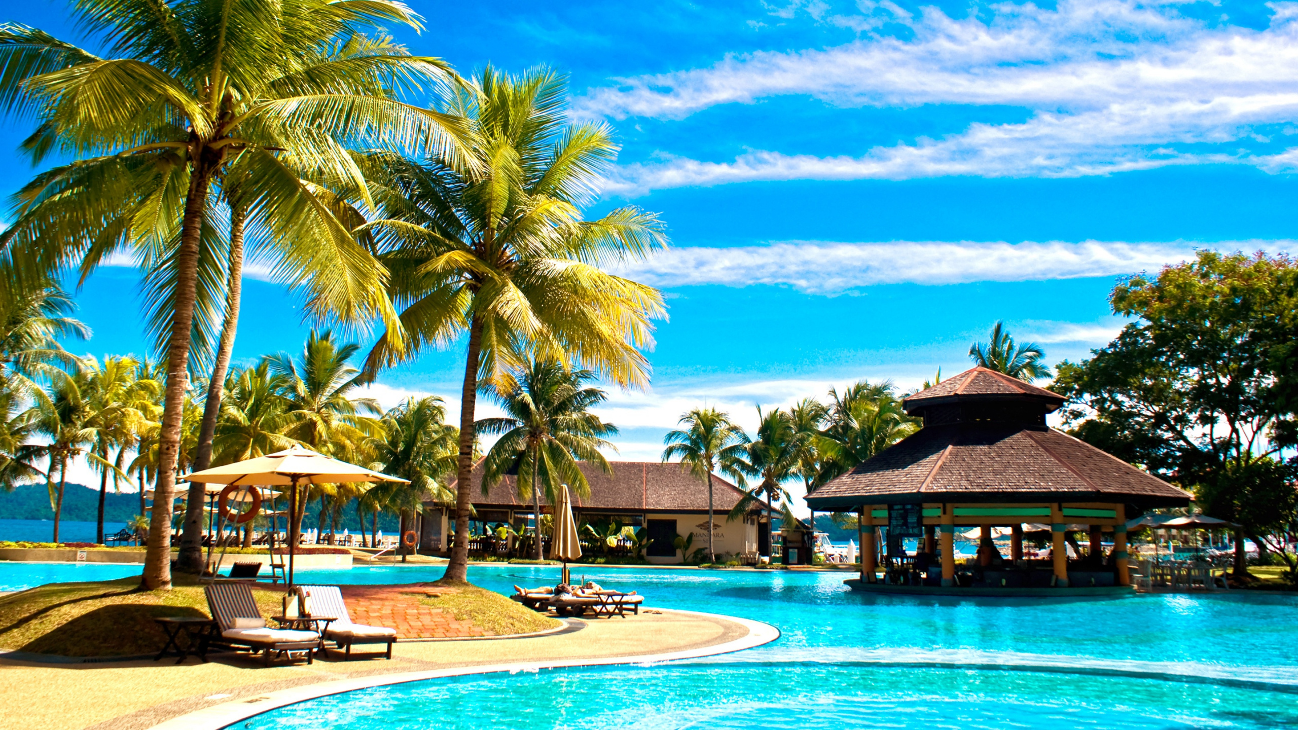 Обои плавательный бассейн, комната, Отель Пасифик Сутера, пляж, прибежище в разрешении 2560x1440