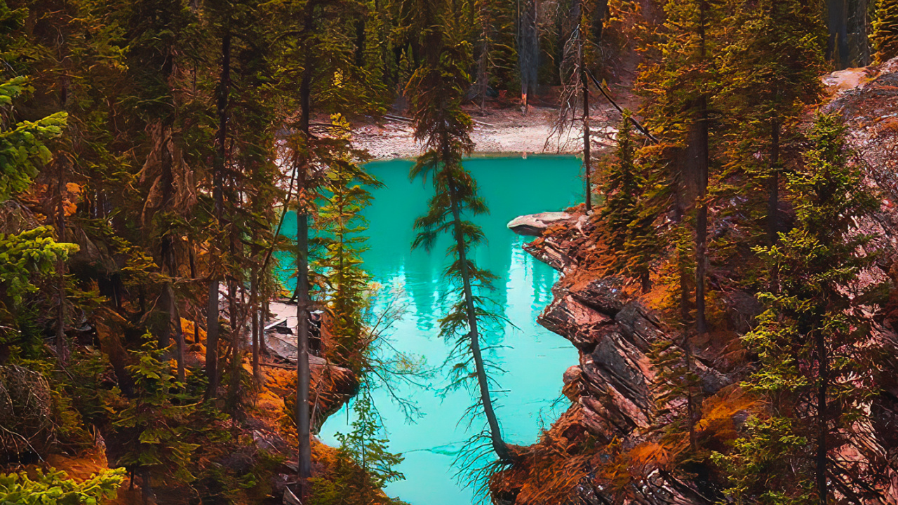 Обои лиственница, Damaksnis, тугай, вода, природный ландшафт в разрешении 1280x720