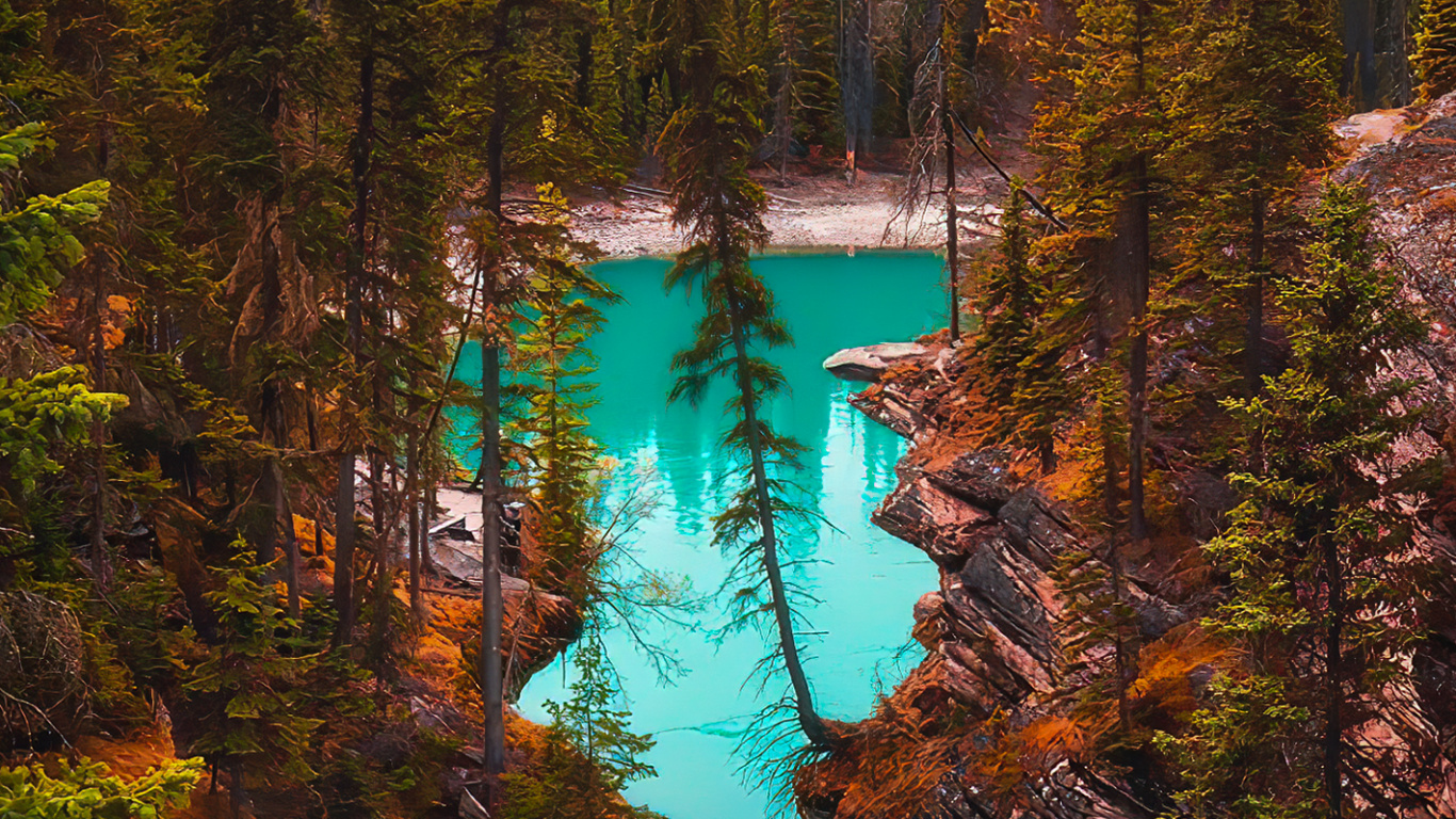 Обои лиственница, Damaksnis, тугай, вода, природный ландшафт в разрешении 1366x768