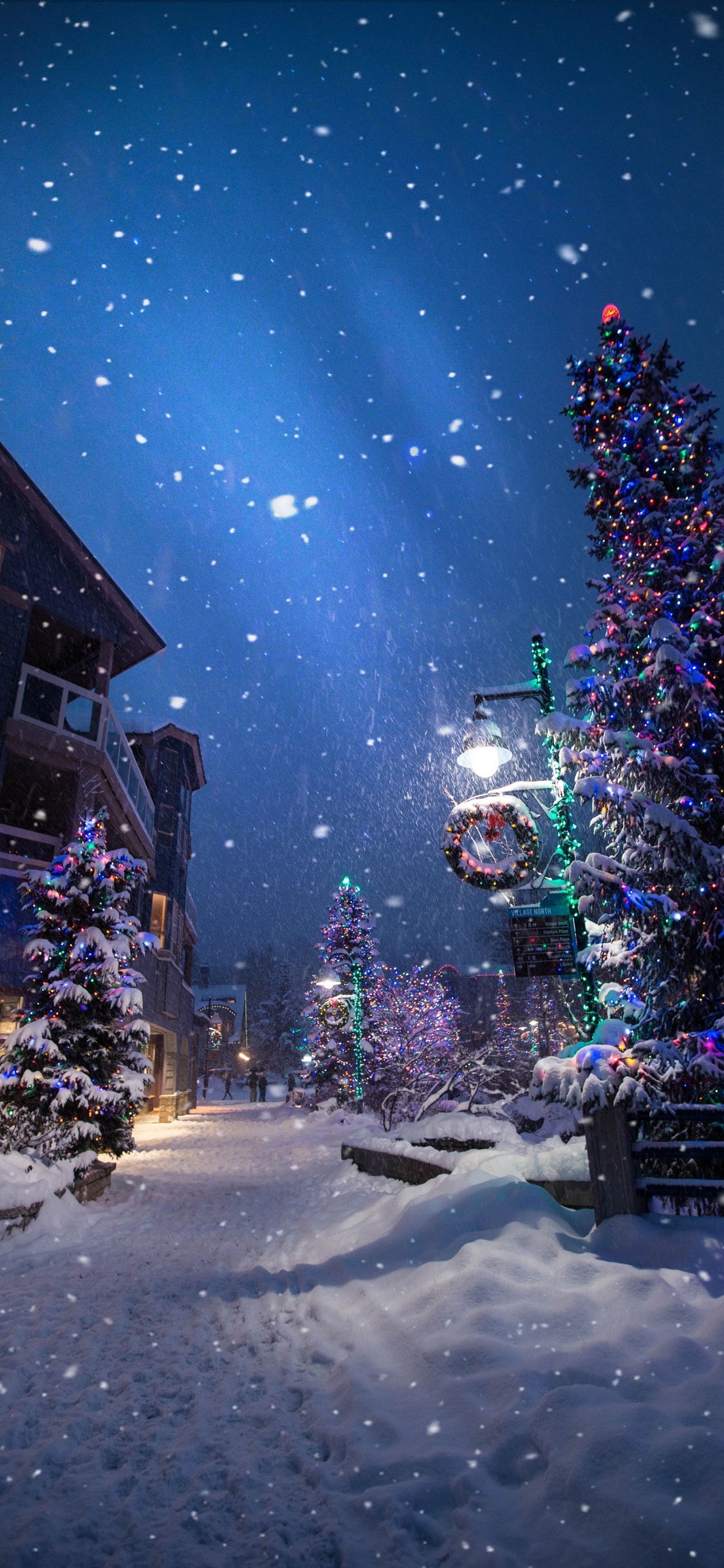 Обои Рождественский день, елка, зима, снег, ночь в разрешении 1125x2436