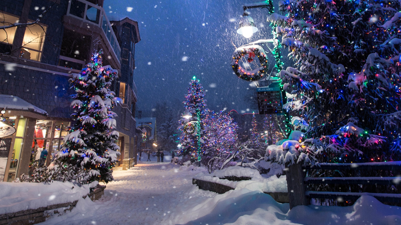 Обои Рождественский день, елка, зима, снег, ночь в разрешении 1280x720