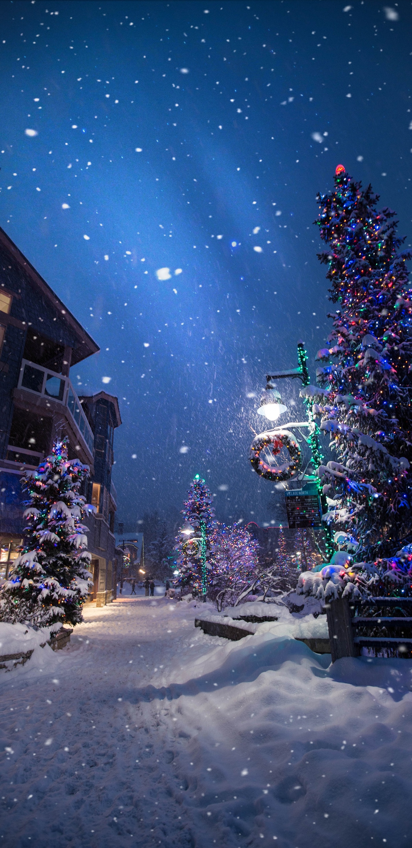 Обои Рождественский день, елка, зима, снег, ночь в разрешении 1440x2960